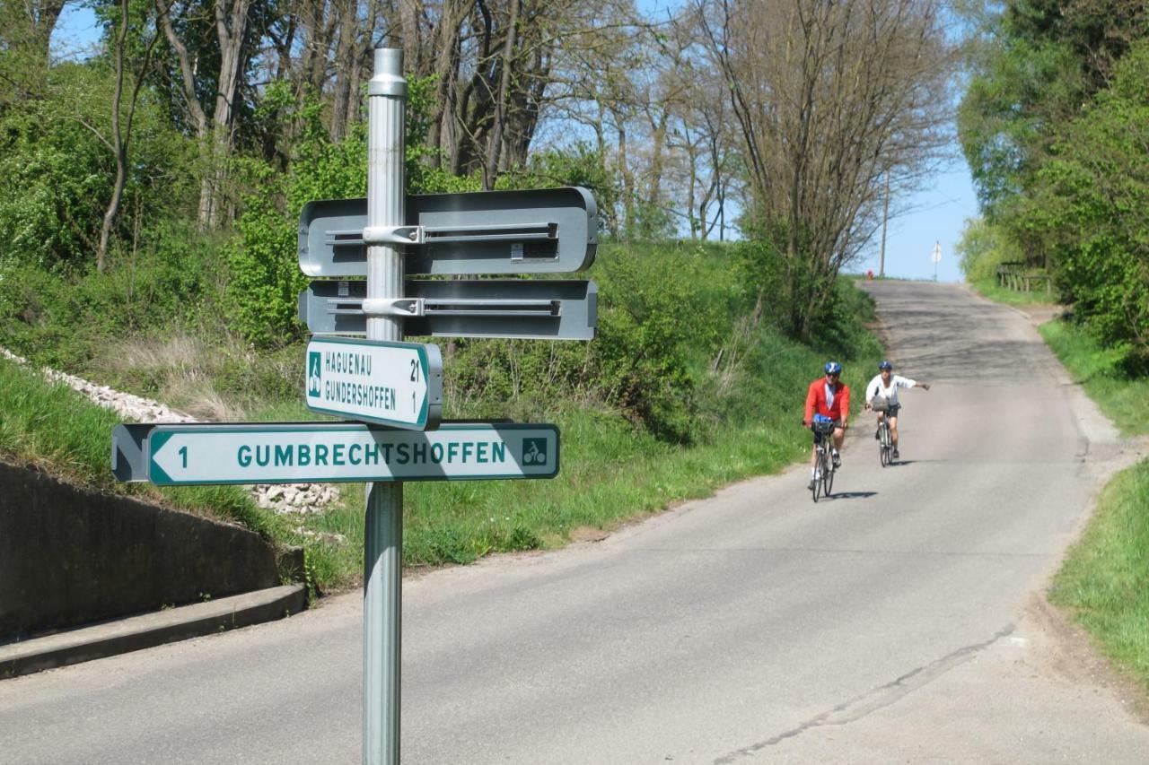 Gites Du Tilleul Gumbrechtshoffen Exterior foto